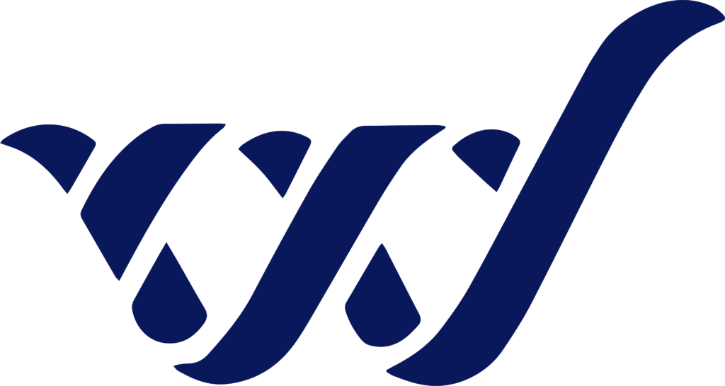Wazzos eServices Logo